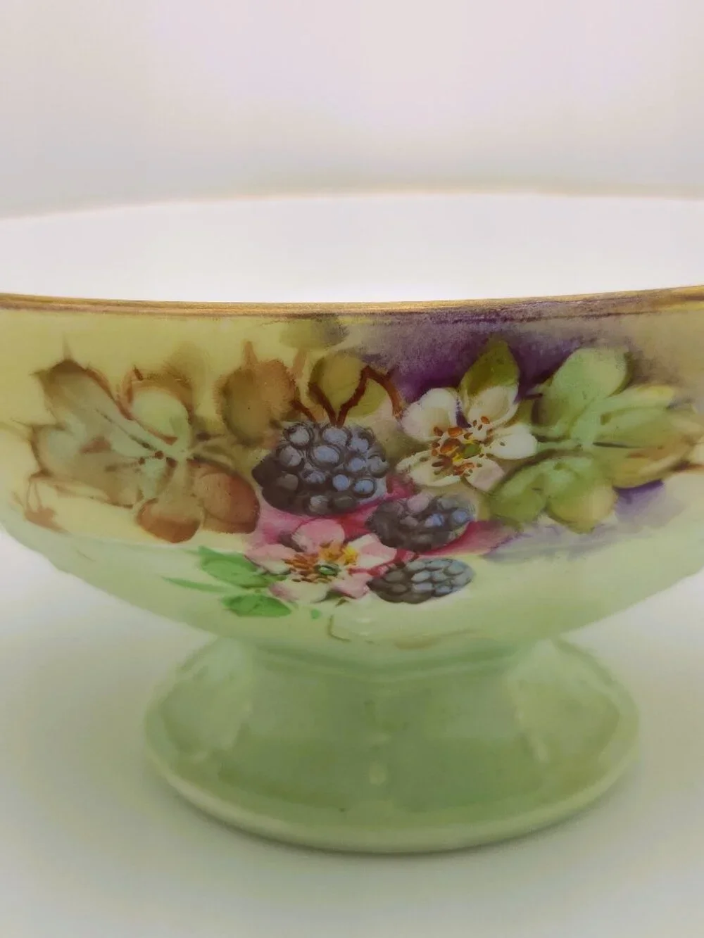 Antique MZ Austria Moritz Zdekauer Blackberry Floral Pedestal Bowl Gold Handles